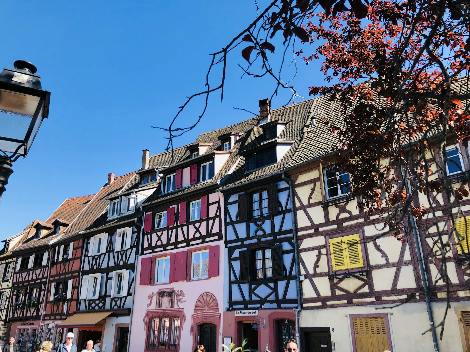 Vignobles en pente d'Alsace avec village à mi-côte